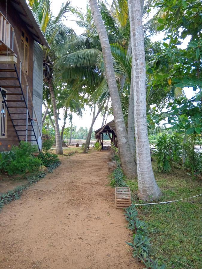 Coconut Island Yala Hotel Tissamaharama Exterior photo