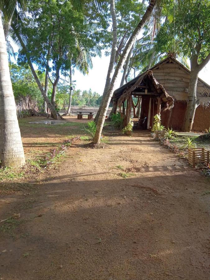 Coconut Island Yala Hotel Tissamaharama Exterior photo