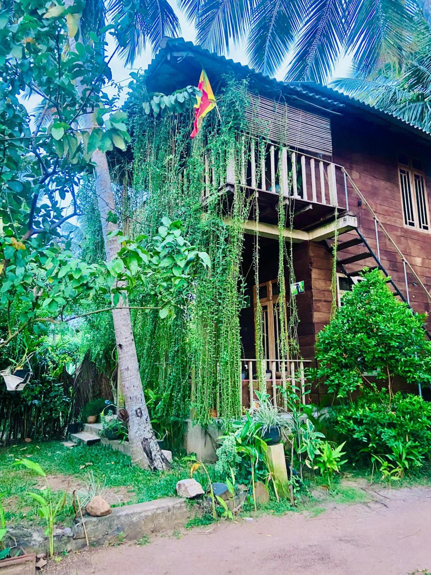 Coconut Island Yala Hotel Tissamaharama Exterior photo