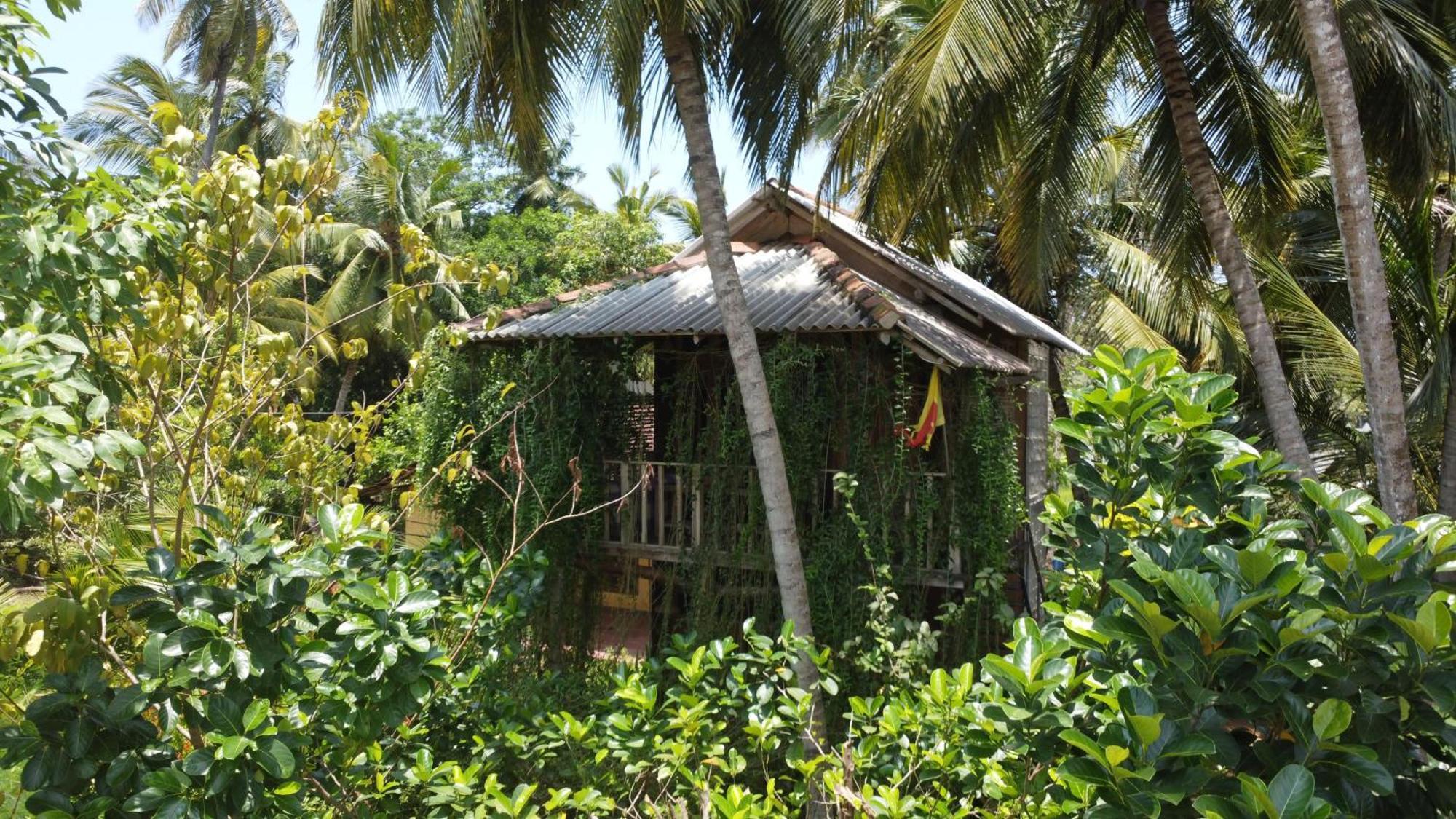 Coconut Island Yala Safari Place Tissamaharama Exterior photo